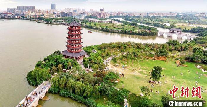 广东新增4个国家级湿地公园 助力形成“候鸟湾区”
