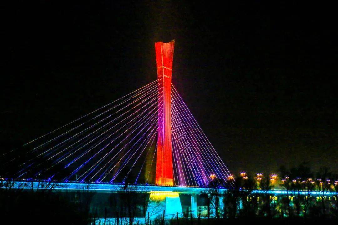 这是乐都辛丑牛年春节街头大片刚刚出炉