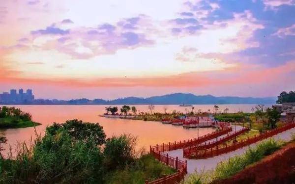 春节去打卡！广东新增4个国家湿地公园