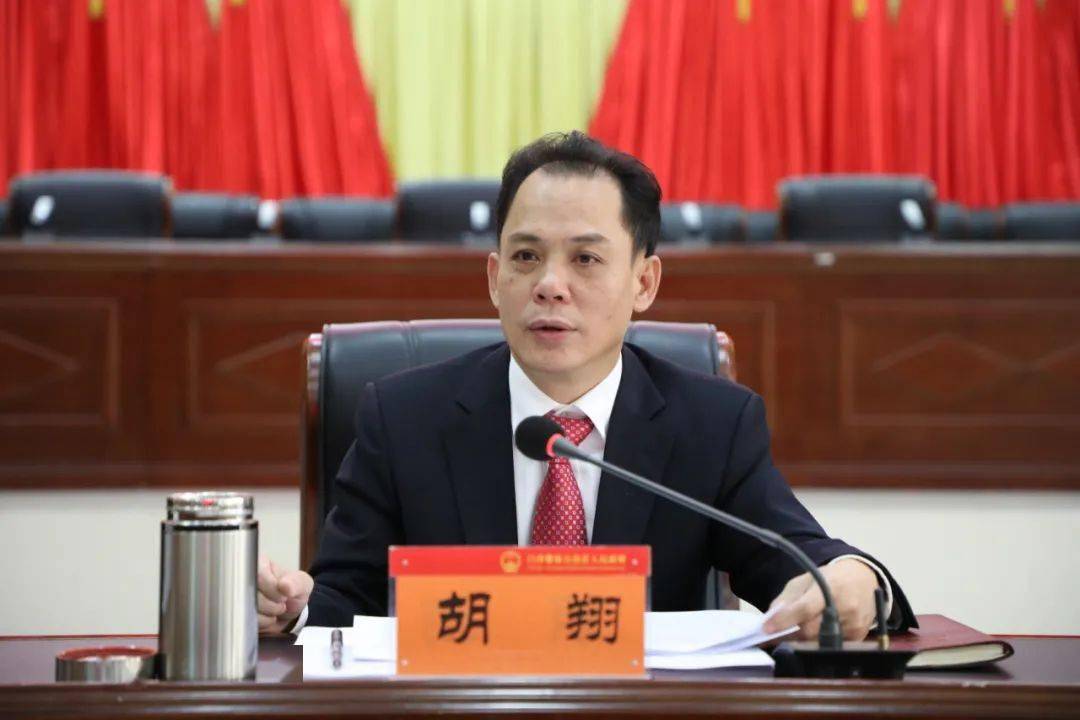 县委副书记,县长胡翔,县委常委,常务副县长陈文强,副县长王志铮,符