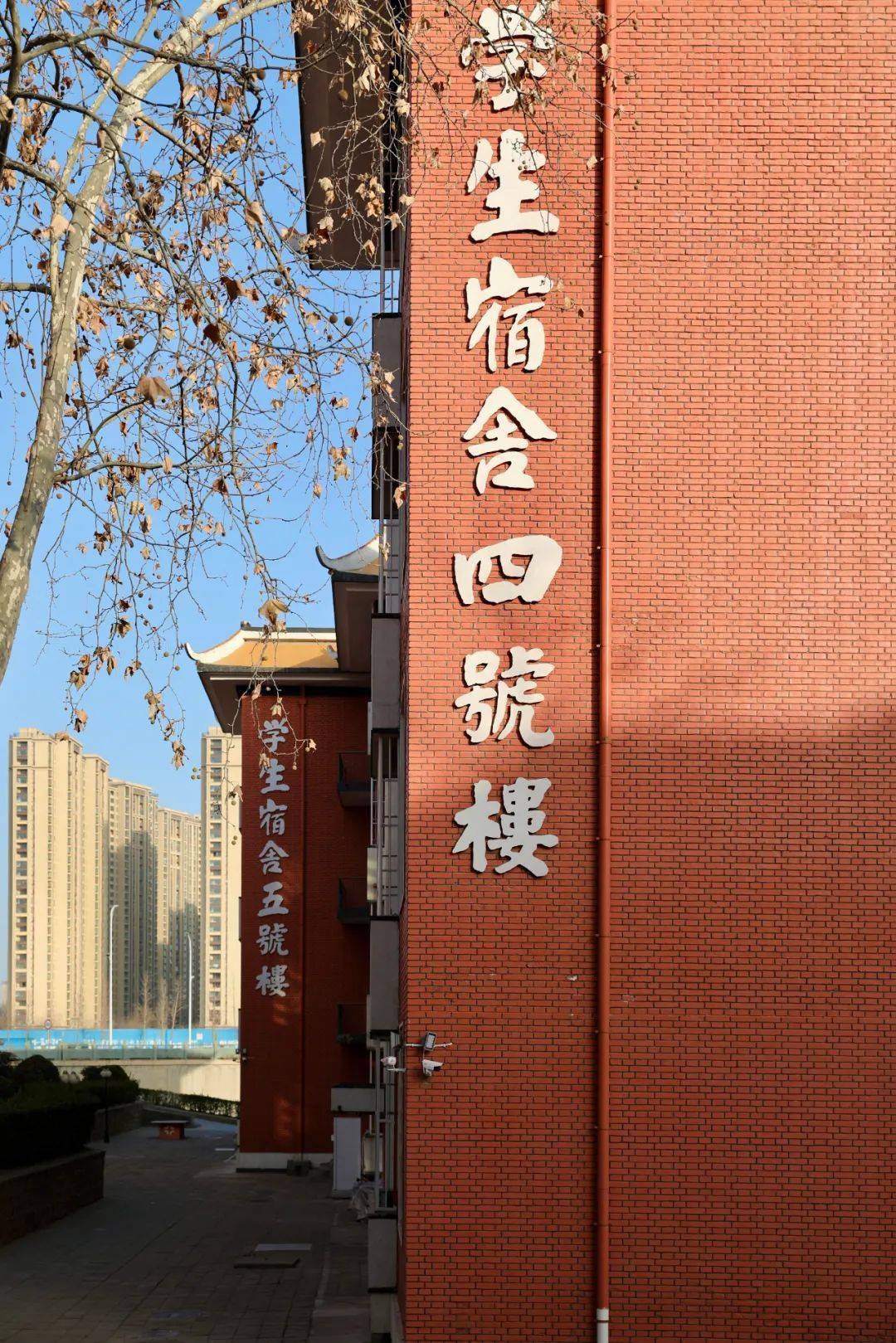 吧看不了达园的初春不要遗憾达宝们在为看不到今年达园的初春而遗憾吗