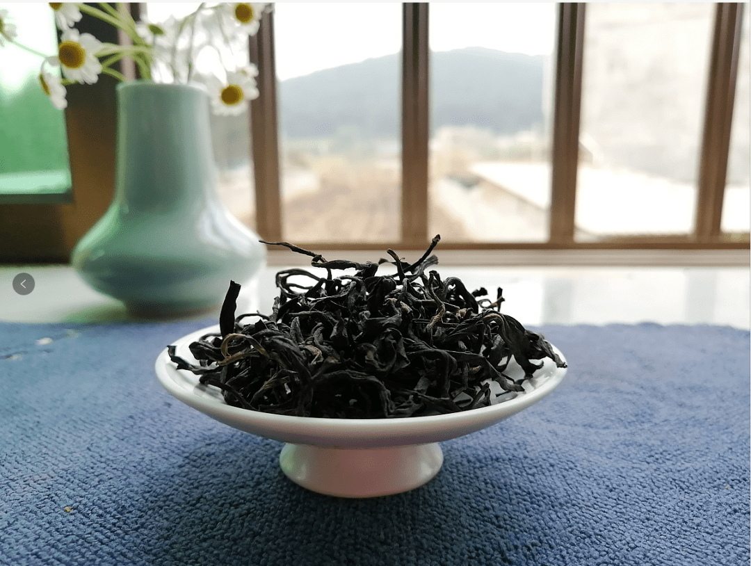 广西姑辽茶茶中新贵