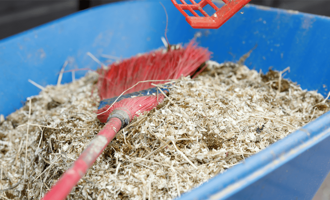 华天的马房铲屎官实操如何清理马房