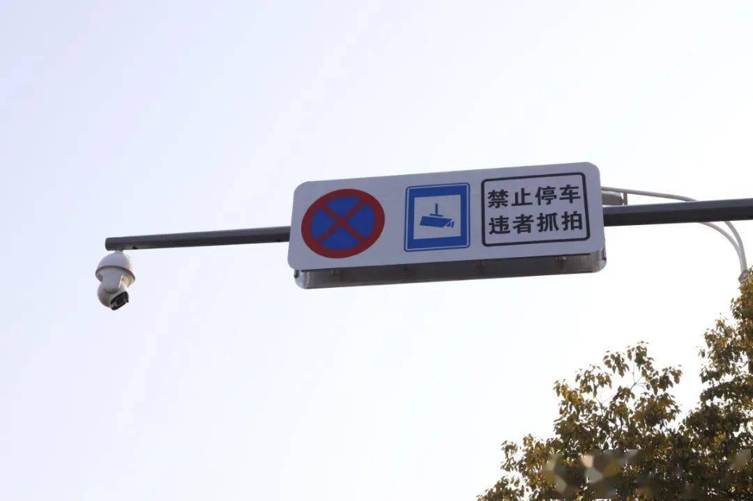 阜阳有多少人口2021_阜阳幼儿园价格多少(2)