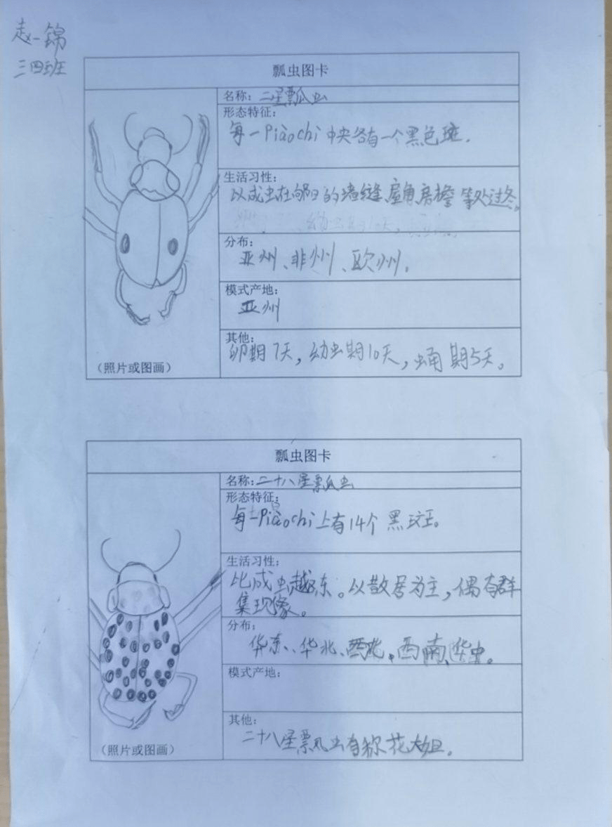 瓢虫贺卡的制作方法图片