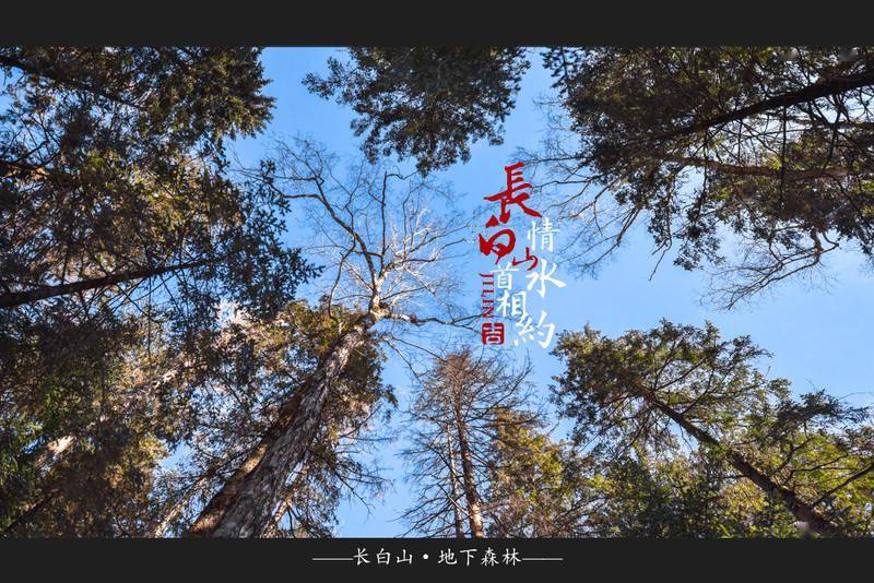 冰雪总动员,玩转长白山:一山一水,体验"世界级"冰火两重天_历史