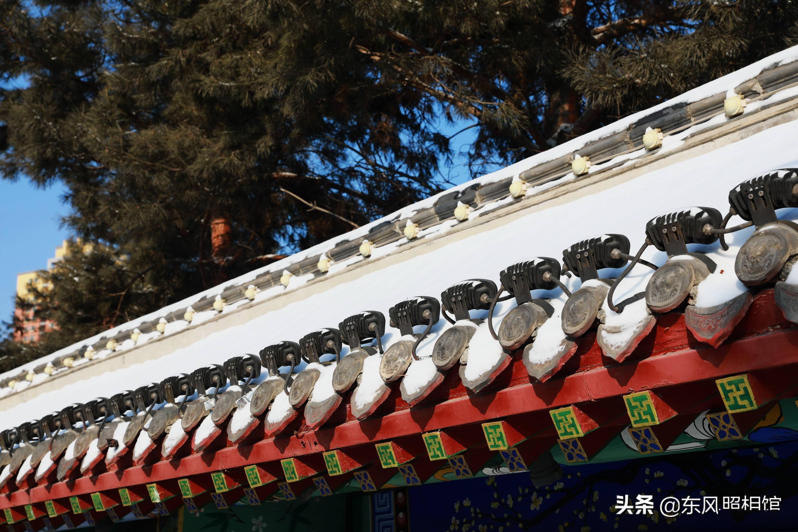 长春雪后文庙景色如画古建筑落雪披纱美不胜收 白雪