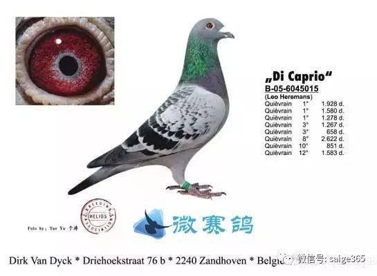 93b8d3057a1b4d44a0499e7ef12c9998.jpeg