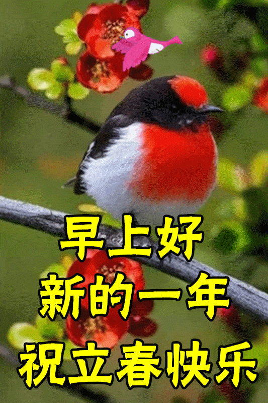 立春最漂亮早上好动态表情图片早晨好动图美图大全绝美春日报春花漂亮