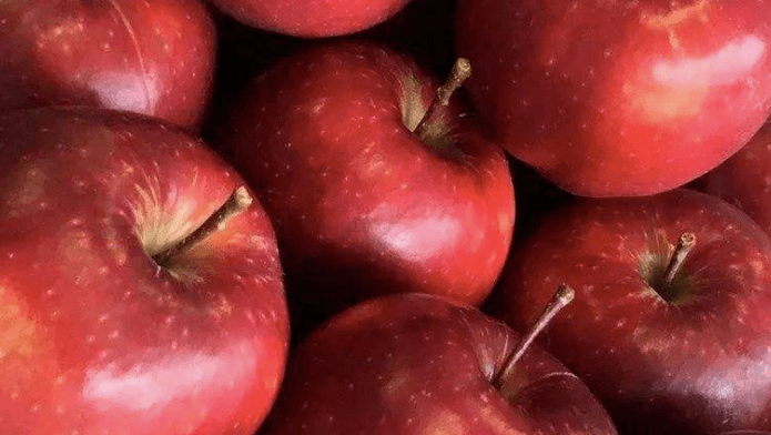 国内苹果产地大全 a3b15614689643c592c7bb2910503a4e.png