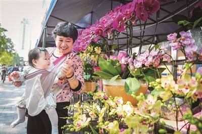 花店招聘信息_爱思妮花店招聘易拉宝设计下载图片(2)