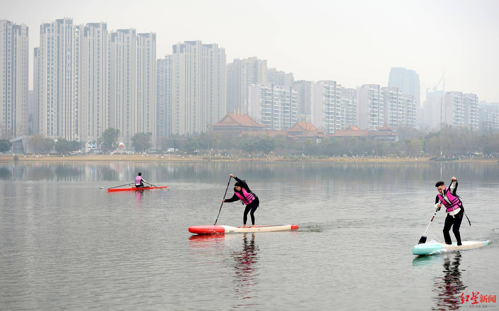 马术、水上运动、智慧夜跑……春节去锦城公园“嗨”出汗！
