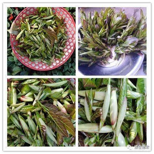 酸杷尖67你喜欢怎么吃