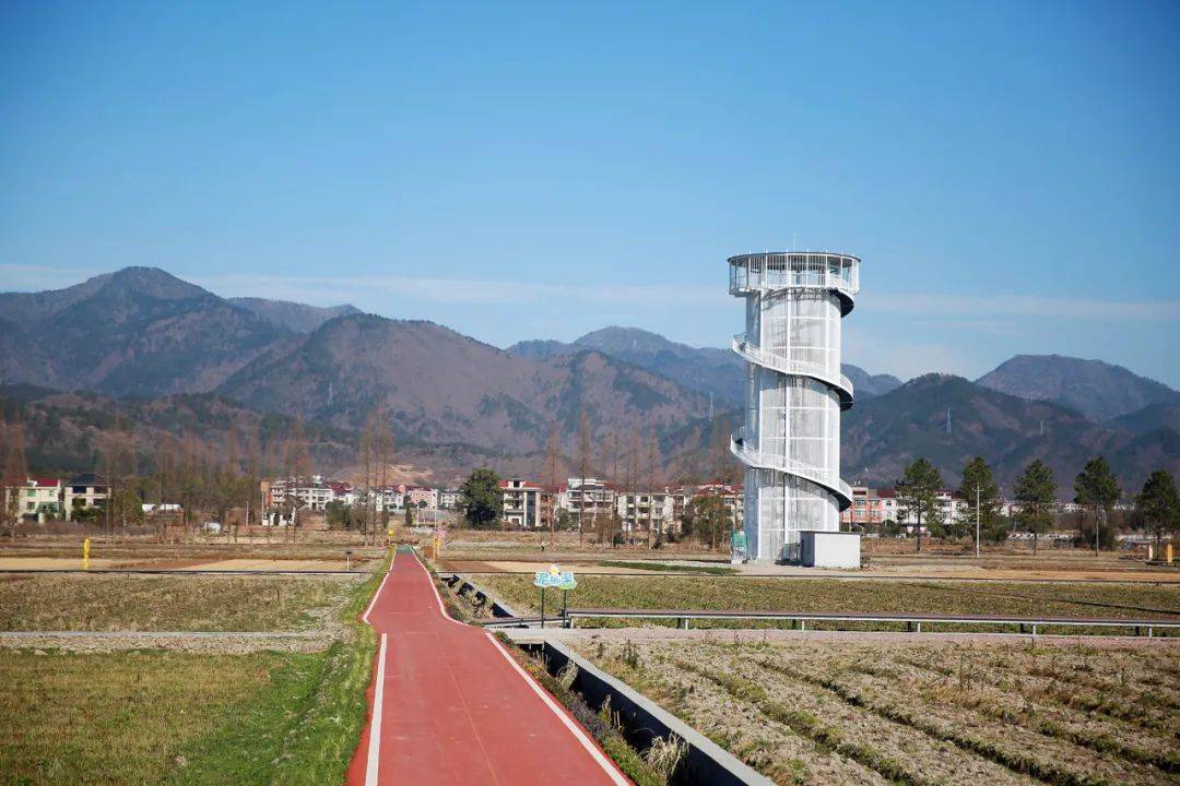 你想要的未来乡村生活在八里湾共享田园