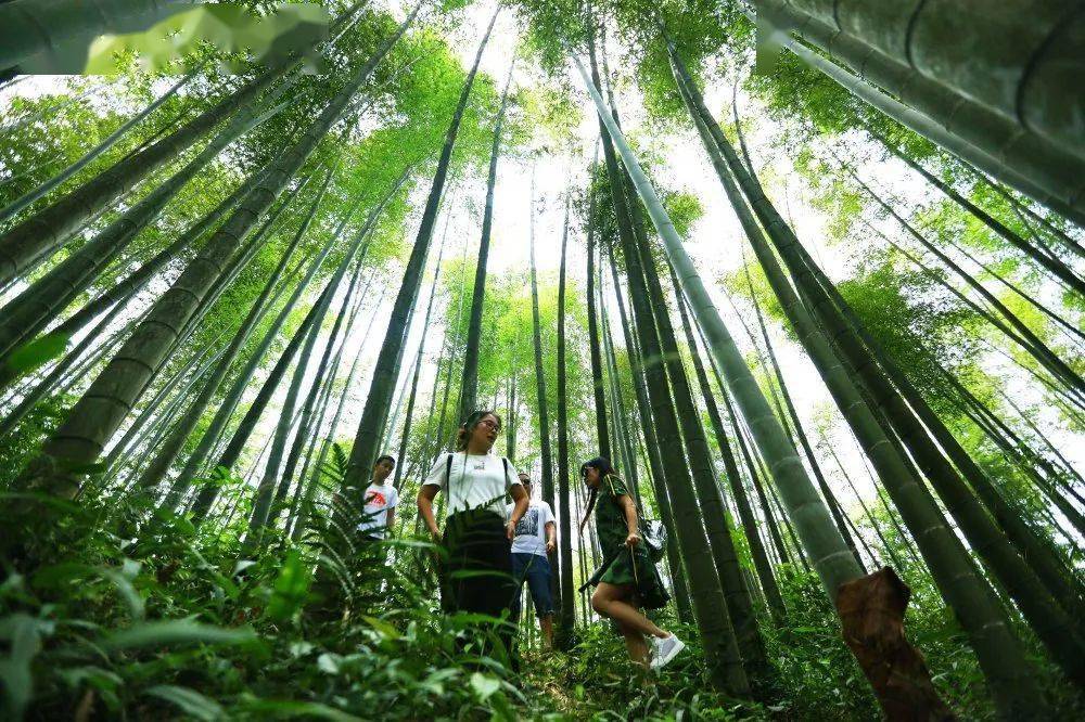 赤水河谷國家級旅遊度假區提醒您:今天是立春!準備好踏春了嗎