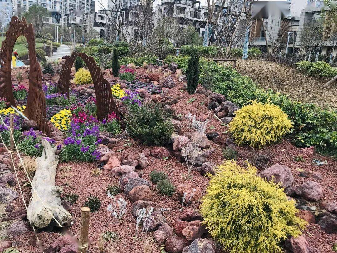 庄市同心湖公园开放啦又多了休闲娱乐的好去处