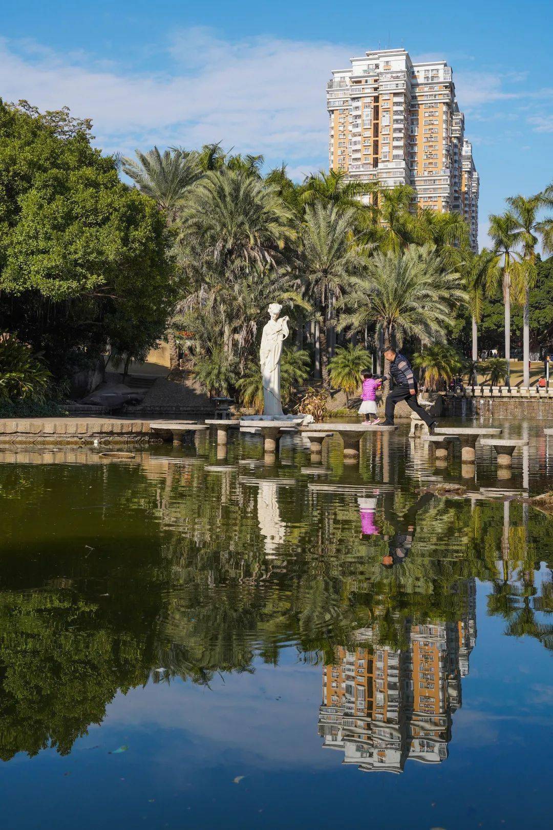 好久不见,莲花公园小瀑布回来啦!_谢瑞霞