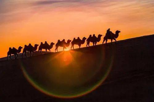 【fm901微推荐】周六18点《印象青城》播出:驼道