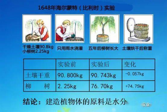 化肥黑锅还得背多久?