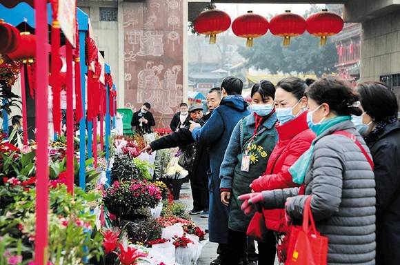 迎新年 成都天府迎春赏花节“蓉城花肆欢乐购”活动启幕