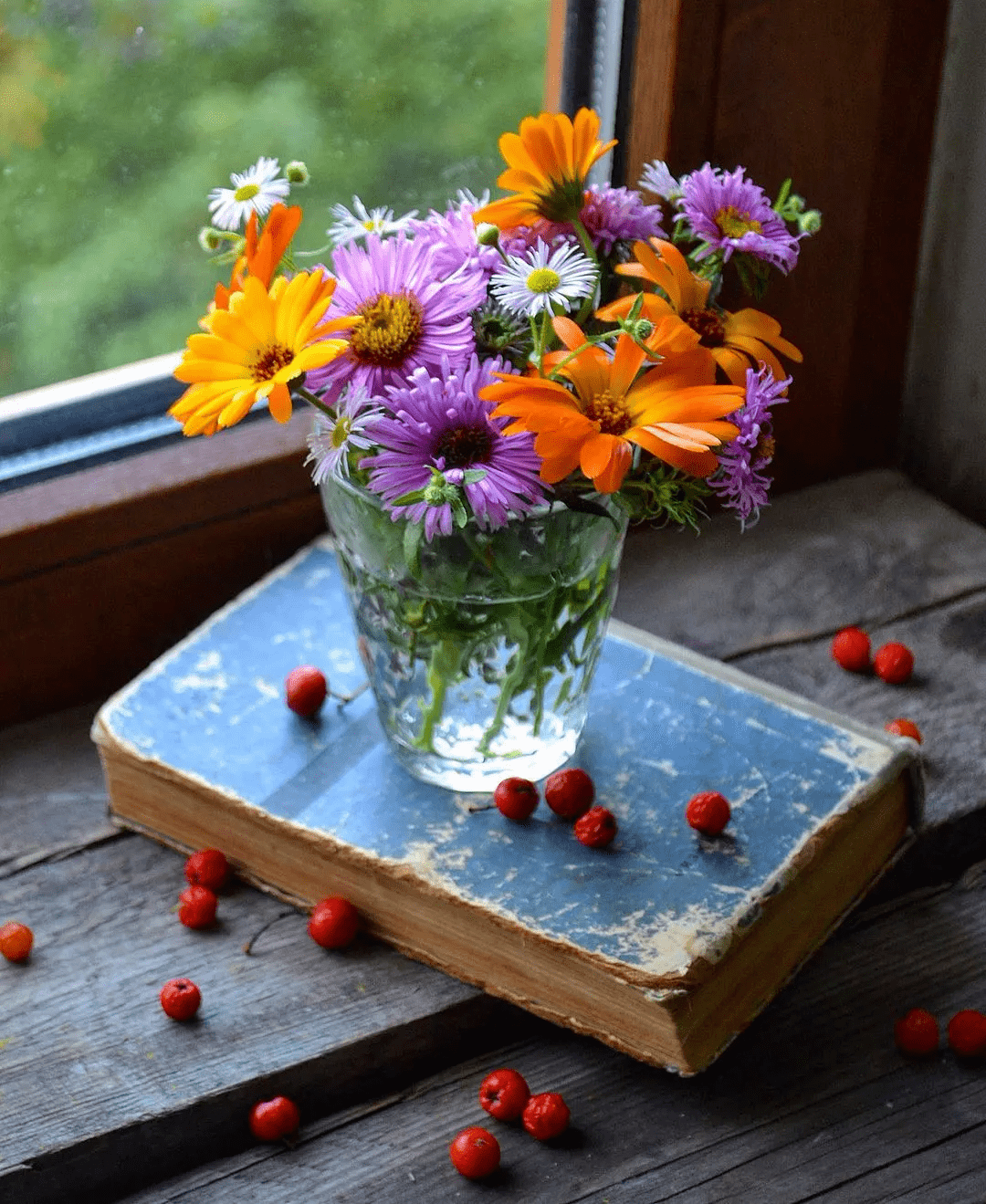 与春天有个甜蜜的约会