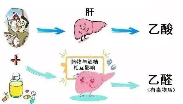 什么是双硫仑反应 5e668bce2a7d4fc1ba5ba793ec5f0903.jpeg