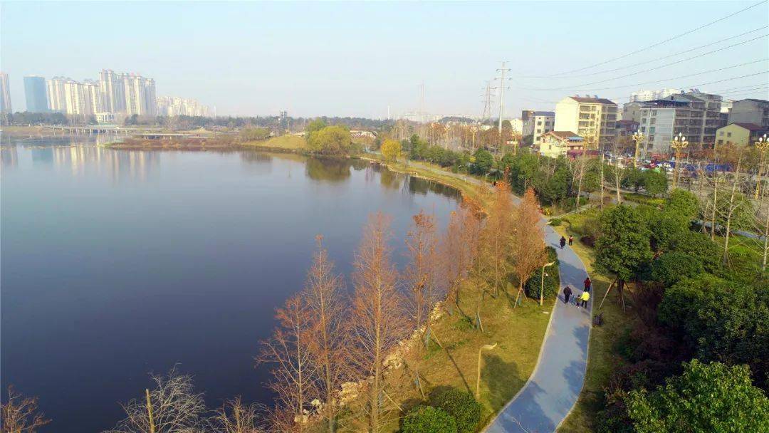 岳阳楼区东风湖流域居民文明素养提质升级行动倡议书_生态