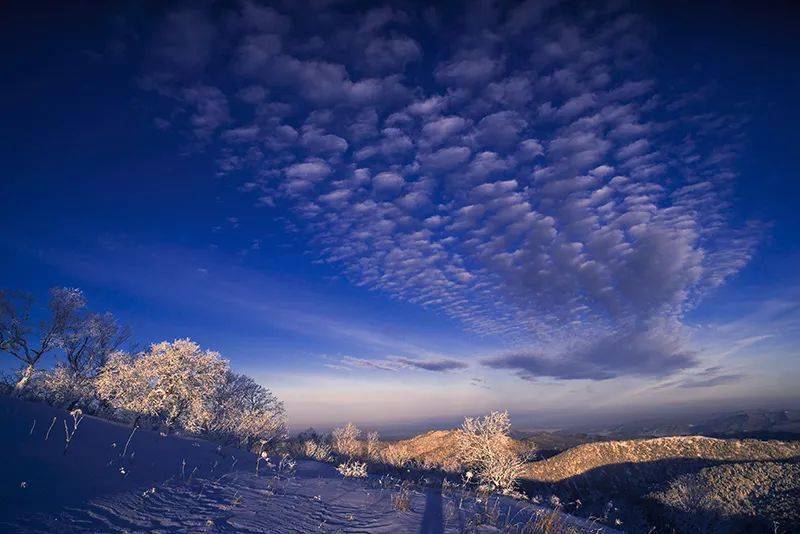 喀秋莎站在竣峭的岸上河上飘着柔漫的轻纱