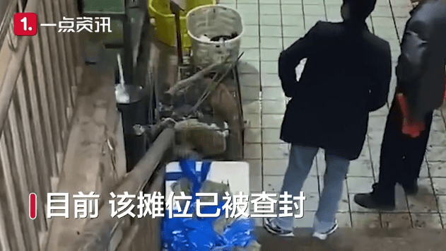 官方回应湖南永州市场卖现宰活猫：摊位已被查封 宰杀画面曝光