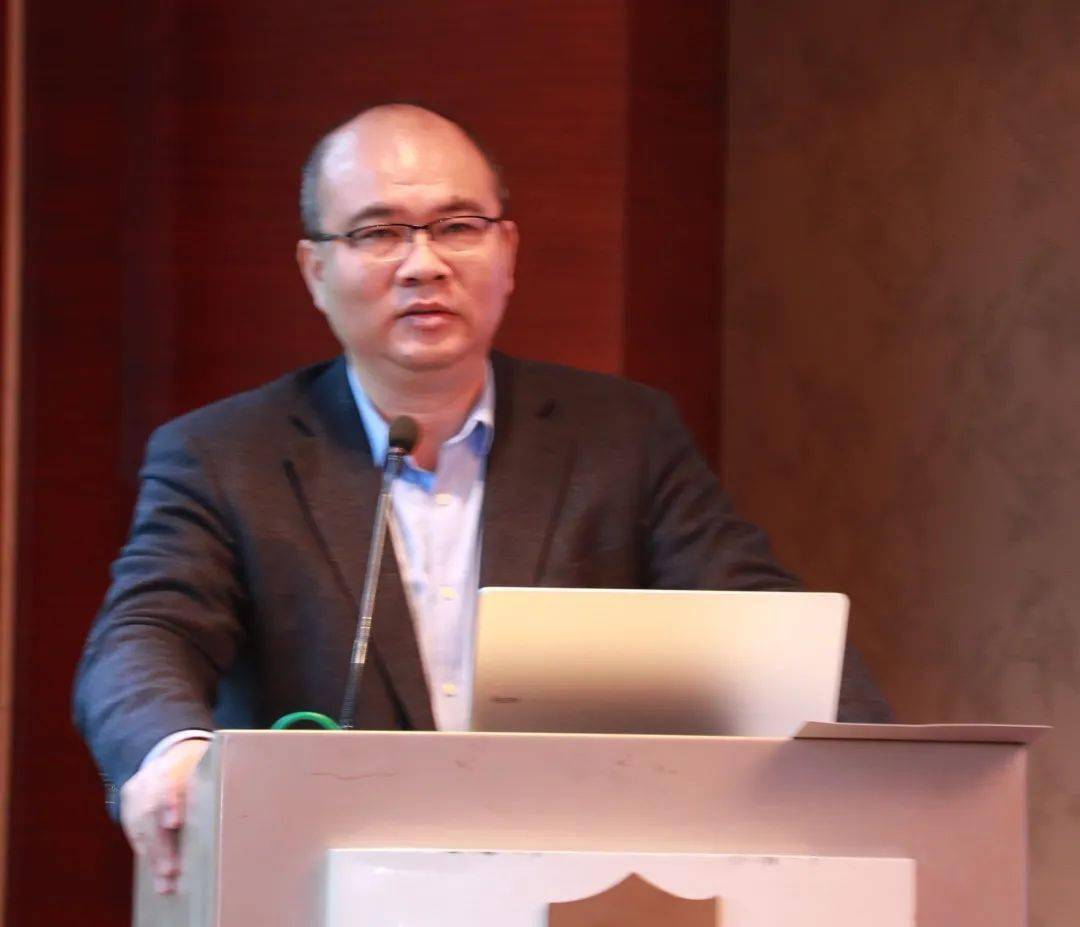 曹洪北京九星通融供应链信息技术有限公司董事长,博士党的十九届五中