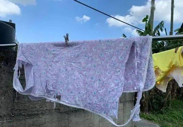 狗奴晒破被子担忧邻居会不会以为我家很穷