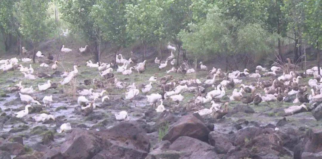 五大连池gdp_五大连池风景区图片