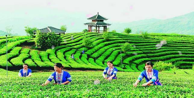 广西柳州发布15条”开年游柳州“精品线路