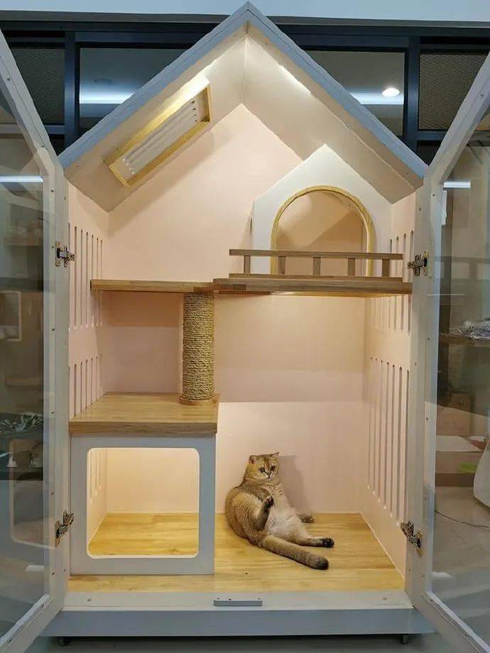 看到猫咪的豪华别墅,除了羡慕还是羡慕
