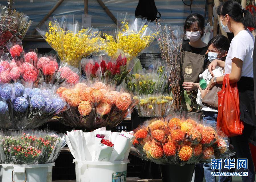 香港 选年花迎新春 销售点