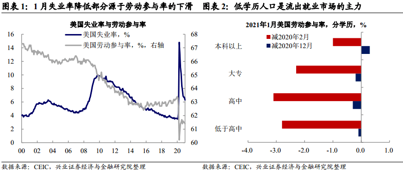 美国人口比例_如果没有移民,美国经济就是一场灾难(2)