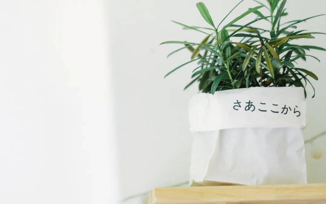 最简单最好看的图案 8f8e244e78b7447abfd71ddefbc6235e.jpeg