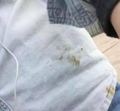 養一隻有潔癖的寵物是一種什麼體驗？鏟屎官：就差會自己鏟屎了！ 萌趣萌寵 第4张