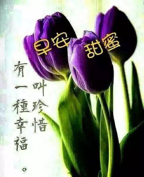 2月6日最漂亮早上好动态表情图片大全早晨好美图大全