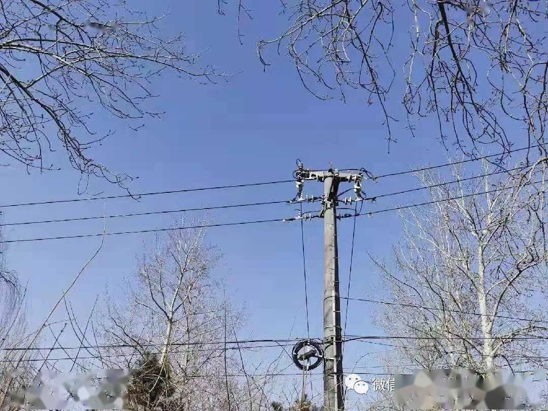 成长悖论札记