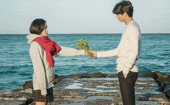 最懂亚洲少女心的韩式花艺荷兰也有了比韩剧欧巴更浪漫情人节直接攻陷