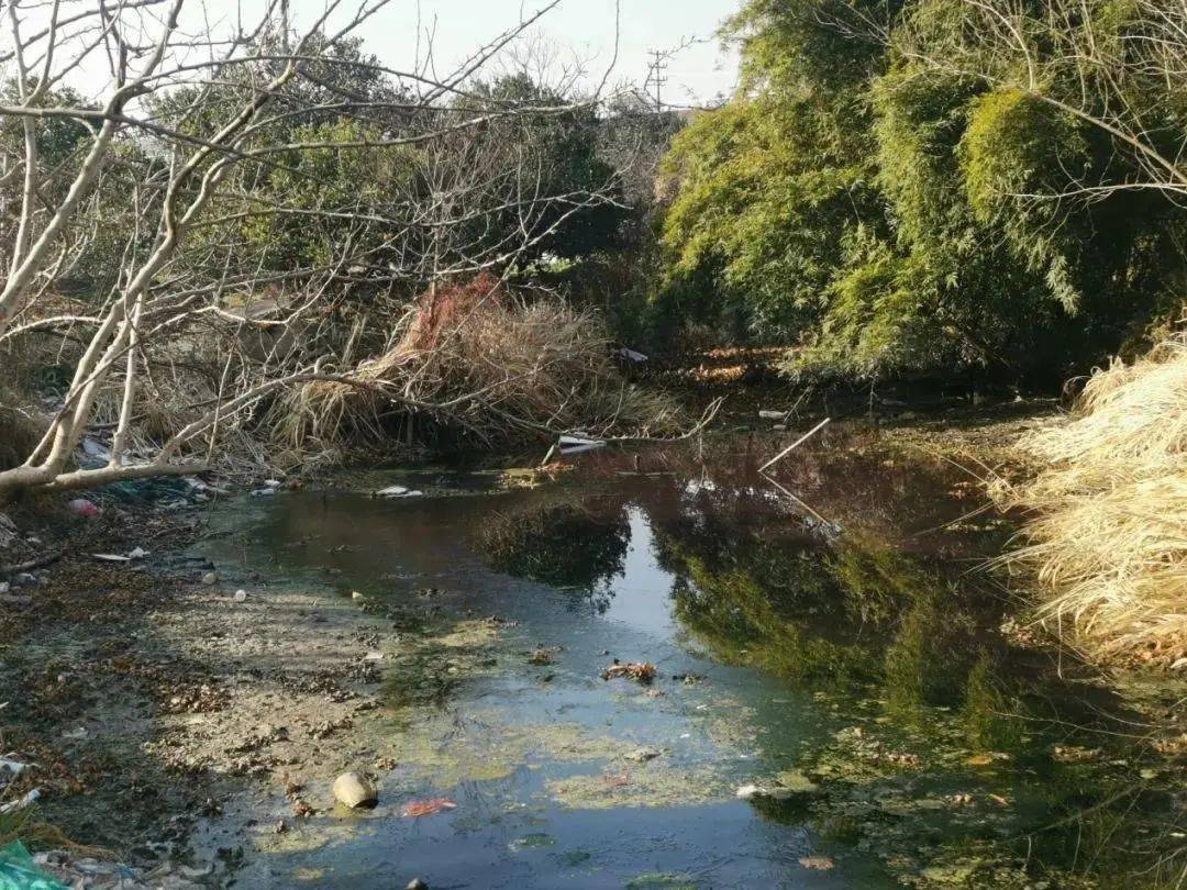 杜絕汙泥濁水永葆岸淨水清迎新春大排查我們在行動