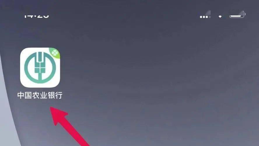 第三步：注册成功后直接登录进入中国农业银行app首页，如下图： 第四步：