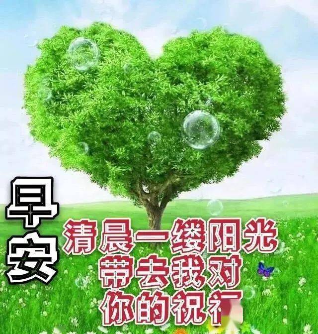 2月8日清晨早上好温馨问候图片,早晨好图片带字带祝福语精选