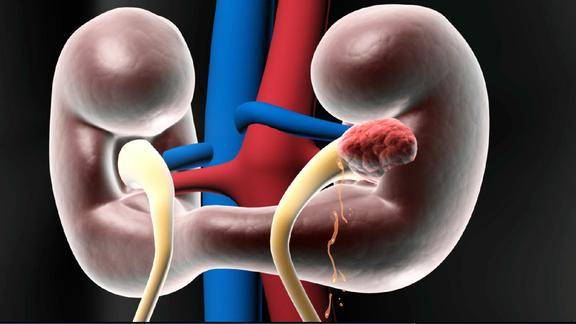 快活!精血亏虚是什么原因造成的"忆郎郎不至"-第2张图片-香菇博客