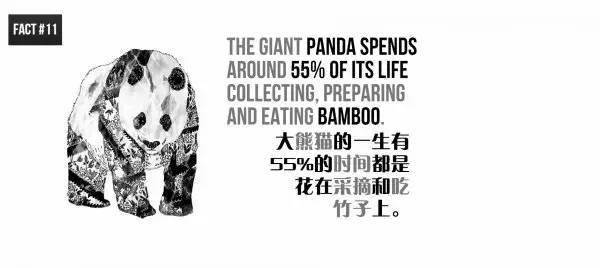 20個關於熊貓的冷知識，看到第6個我驚了！ 萌趣萌寵 第11张
