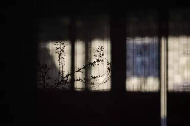 时间如流水的诗 ef778c9d1cb54cdfab227f24b545d766.jpeg