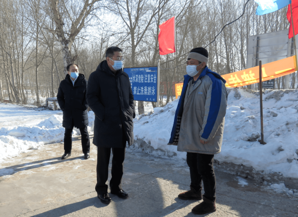 王子联先后深入三骏乡西达户村,郎郡村和长春岭镇下岱吉屯,实地察看