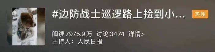 還記得那隻在雪地里被兵哥哥救了的小土狗「十八」嗎？現在它被寵上了天！ 萌趣萌寵 第4张