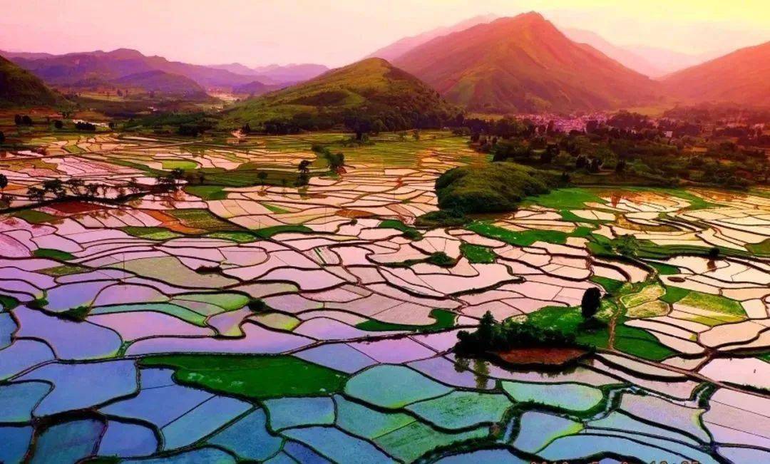 全州黄沙河雄起,都上电视了!_种植